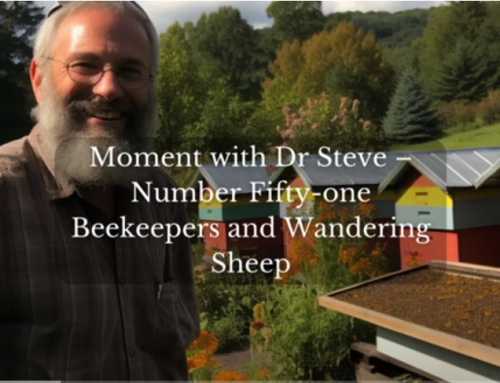Beekeepers and Wandering Sheep | Moments With Dr. Steve